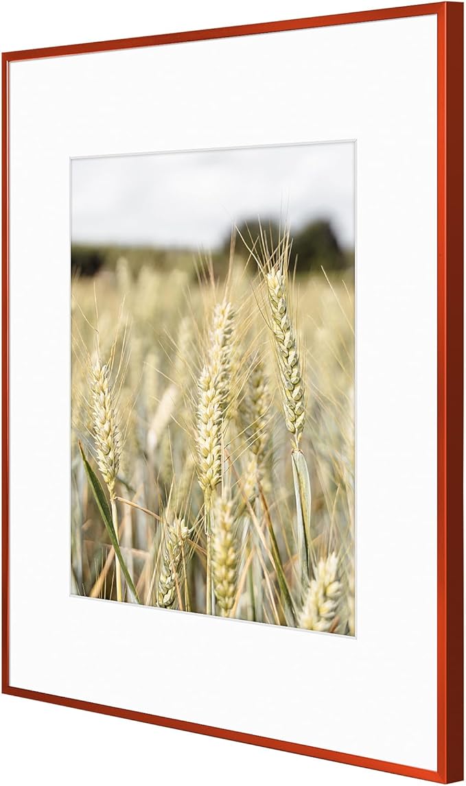 Golden State Art 16x20 Picture Frame 6 Pack - Dark Red Aluminum Photo Frames With 11x14 Mats and Real Glass Cover - Elegant Minimalist Wall Gallery Frames for Home or Office Decor