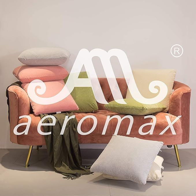 AM AEROMAX 18x18 Inch Memory Foam Pillow Insert, Firm & Fluffy Square Throw Pillow for Couch and Bed, Premium Decorative Stuffer, Heavy Duty & Non-Flattening