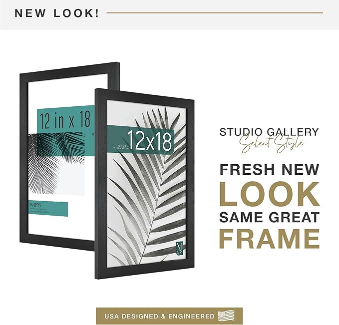 MCS Studio Gallery 12x18 Picture Frame Black Woodgrain Engineered Wood, Rectangle Photo Frame for Photos, Posters & Art Prints (1-Pack)