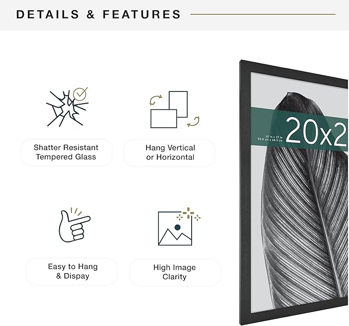 MCS Studio Gallery 20x27 Poster Frame Black Woodgrain Engineered Wood, Vertical & Horizontal Wall Hanging Large Picture Frame for Photos, Posters & Art Prints (2-Pack)