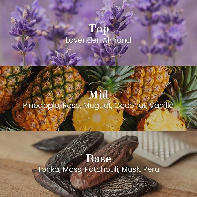 M&SENSE Natural Soy Candle| Lavender Vanilla | 5.3 oz | Mini Spring Scented Candles for Relaxation, Valentines Day Gift, Home Décor | for Bedroom, Office, Party Small