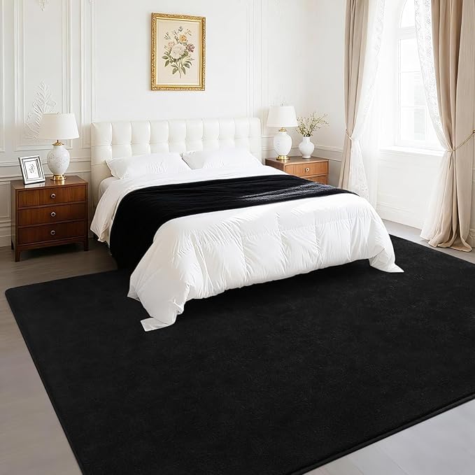 Soft Rugs for Living Room 5x7 Black, Minimalist Area Rug for Bedroom Nursery Dining Table Dorm, Throw Rugs for Men Boys Girls Kids Room Indoor Floor Carpets