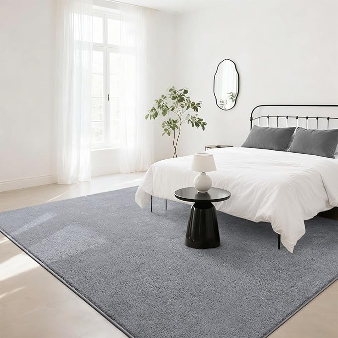 Soft Rugs for Living Room 4x6 Grey, Minimalist Area Rug for Bedroom Nursery Dining Table Dorm, Throw Rugs for Men Boys Girls Kids Room Indoor Floor Carpets