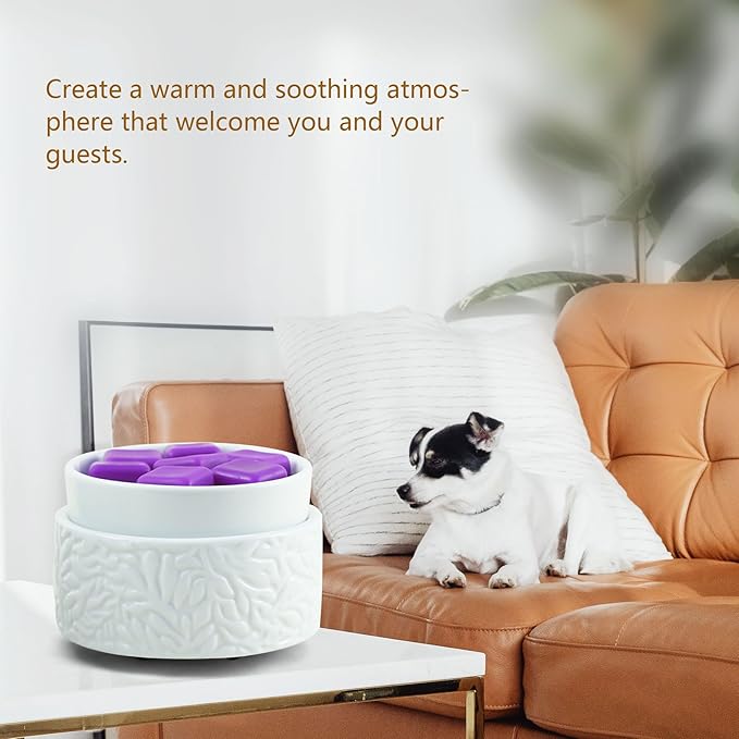 ElusiaKa Electric Wax Melt Warmer with Warm Light, 3-in-1 Ceramic Candle Warmer Large Dish Scented Wax Melter Essential Oil Burner for Home Aromatherapy, White