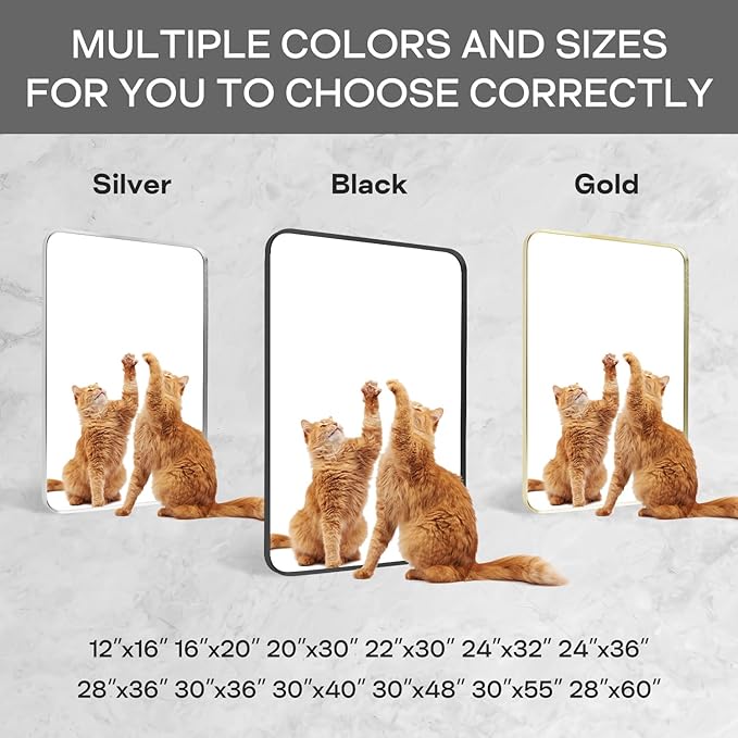 Wall Mount Mirror for Bathroom, Brushed Black Metal Framed Rounded Corner Rectangular Vanity Mirror (18" x 24", Black)