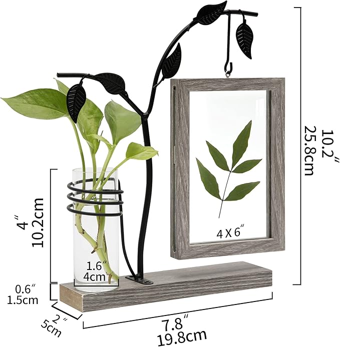 Sapowerntus 4x6 Picture Frames Family Desk Office Rustic Photo Frame, Water Plants Flowers Floating Double Glass Vase Tabletop Standing Home Decor, Wedding Grandma Mother Mom Gift