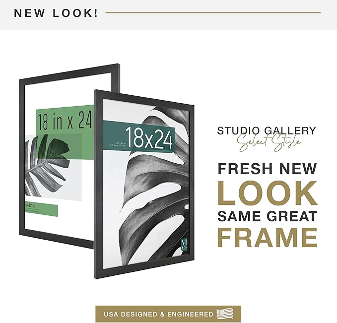 MCS Studio Gallery 18x24 Poster Frame Black Woodgrain Engineered Wood, Vertical & Horizontal Wall Hanging Large Picture Frame for Photos, Posters & Art Prints (2-Pack)