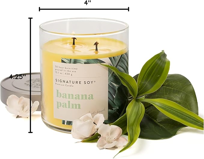 Signature Soy Lidded Banana Palm Scented Candle Large Jar