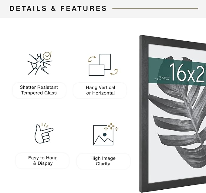 MCS Studio Gallery 16x20 Poster Frame Black Woodgrain Engineered Wood, Vertical & Horizontal Wall Hanging Large Picture Frame for Photos, Posters & Art Prints (2-Pack)