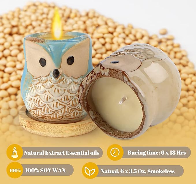 Scented Candles Birthday Gifts for Women, Owl Gifts for Women, 6 Pack Novelty Owl Aromatherapy Candle Bulk Gift for Birthday Mother's Thanksgiving