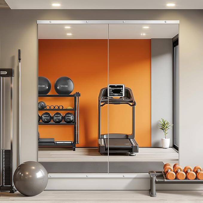TRAHOME Home Gym Mirror for Wall,56x28x2PCS Full Length,Glass Frameless Body Large Mirror for Home Gym,Workout,Bedroom,Garage(Silver)