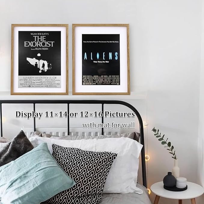 Egofine 16x20 Poster Frame Set of 2 Solid Wood Frame with Plexiglass Matted for 11x14/12x16 for Wall Mounting Hanging Picture Frame Vertically or Horizontally, Carbonization