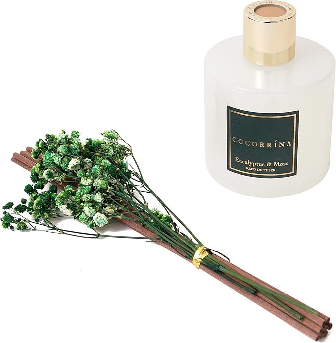Cocorr??na Reed Diffuser Sets- Eucalyptus & Moss Scented Diffuser with Sticks Home Fragrance Reed Diffuser for Bathroom Shelf Decor