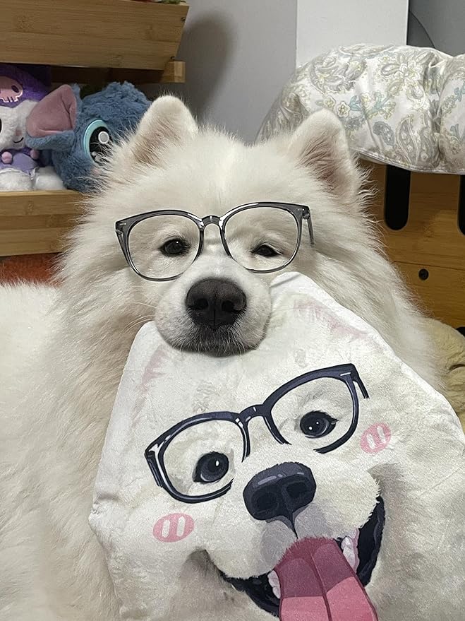 Custom Pet Portrait Pillows with Photos, Personalized Hand-Drawn 3D Dog Pillow, Custom Cat Face Pillow with Cute Design, Birthday Gift for Him or Her