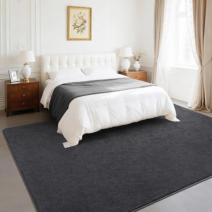 Soft Rugs for Living Room 6x9 Dark Grey, Minimalist Area Rug for Bedroom Nursery Dining Table Dorm, Large Throw Rugs for Men Boys Girls Kids Room Indoor Floor Carpets
