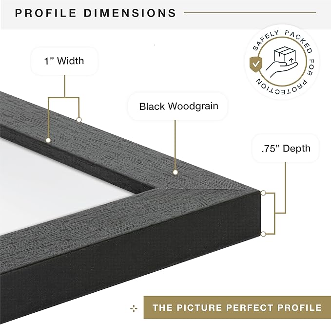 MCS Studio Gallery 19.75x27.5 Poster Frame Black Woodgrain Engineered Wood, Vertical & Horizontal Wall Hanging Large Picture Frame for Photos, Posters & Art Prints (1-Pack)