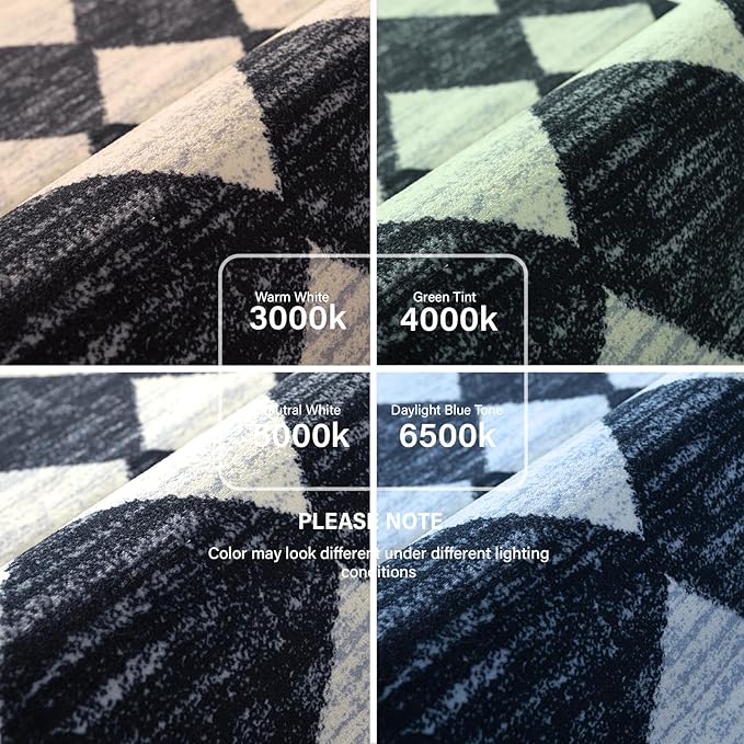 Lahome Zelie Checkered Washable 8 x 10 Area Rugs for Living Room, Black Bedroom Rug 8x10 Under Bed, Geometric Trellis Soft Ultra-Thin Indoor Carpet for Dining Room Dorm Kids Playroom (8'x10',Black)