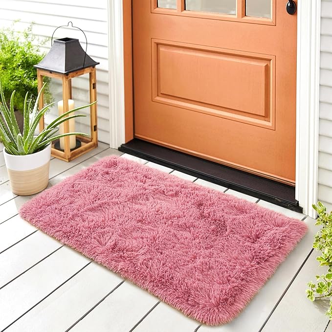 Noahas Fluffy Blush Rugs for Bedroom Girls,Door Mat Indoor Entrance,2x3 Shaggy Small Non-Slip Entryway Entry Area Rugs,Soft Plush Bedside Throw Kids Carpet Home Decor