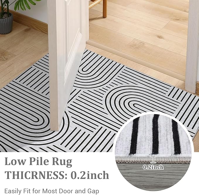 Washable Rug 3x5 Area Rugs for Living Room, Abstract Rug for Bedroom, Soft Rainbow Non Slip Throw Rugs with Rubber Back, Low Pile Stain Resistant Boho Geometric Carpet for Dining Room, Blackwhite