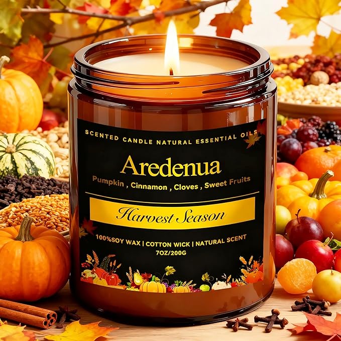 Harvest Season Candle – Warm Holiday & Winter Pumpkin Spice Aroma, Hand-Poured Soy Candle for Christmas Home Décor & Cozy Seasonal Gifting
