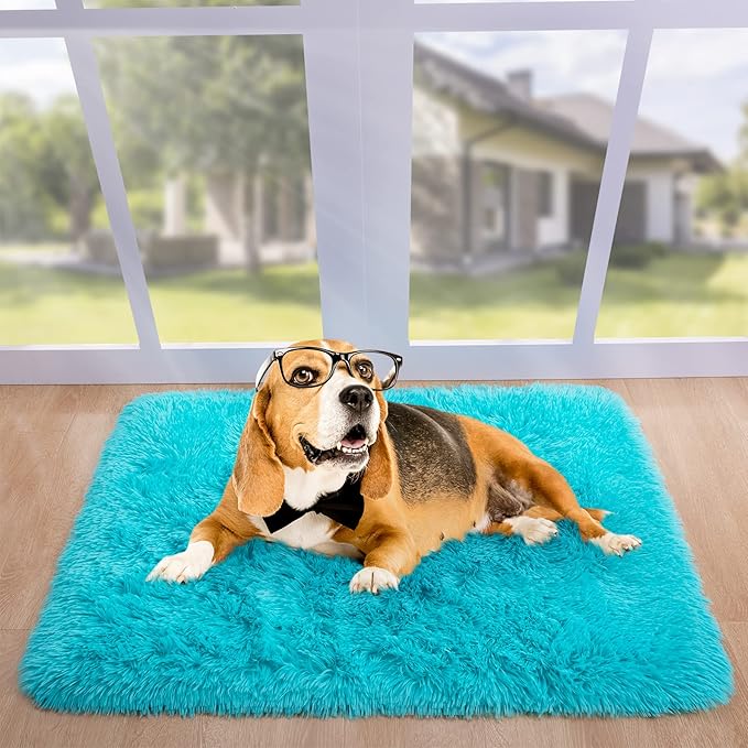 Noahas Door Mat Indoor Entrance,2x3 Shaggy Small Teal Blue Area Rugs for Entryway,Non-Slip Fluffy Entry Bedroom Rug,Soft Plush Bedside Throw Kids Carpet