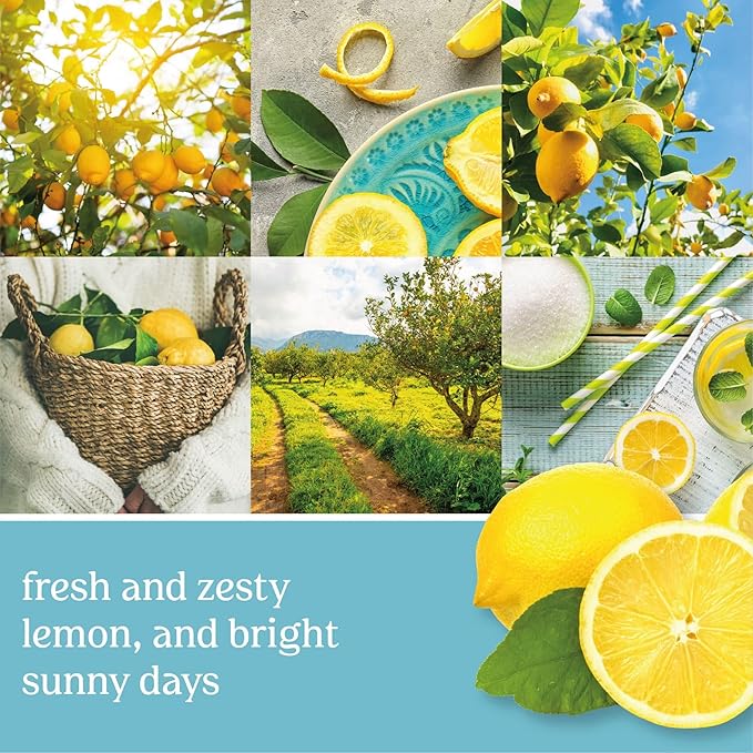 Yankee Candle Sicilian Lemon Scented Classic 22oz Large Jar Single Wick Candle Over 110 Hours of Burn Time Perfect for Home Decor Parties and Gifts