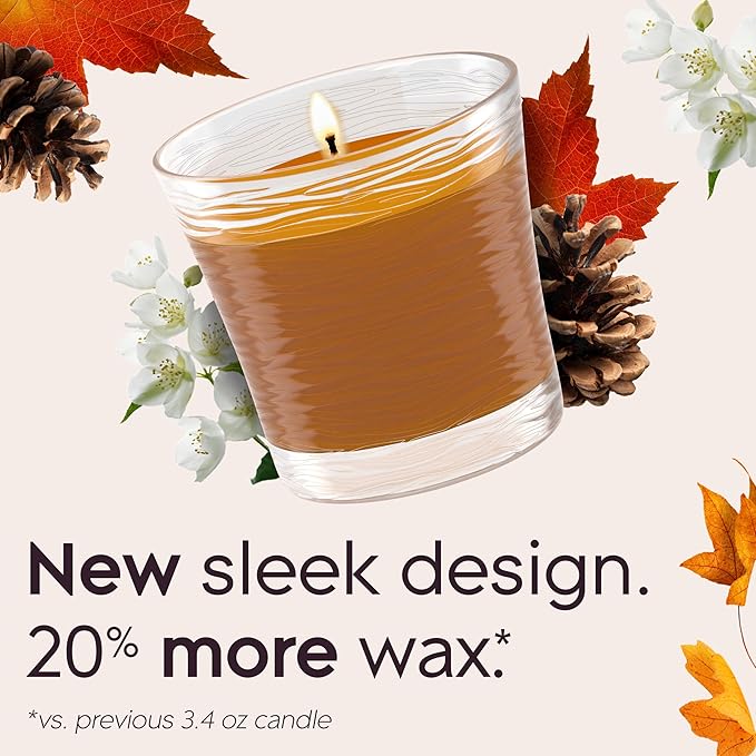 Glade 1-Wick Scented Candle Jar, Cashmere Woods, Air Freshener Infused with Essential Oils, 4.08 Oz, 3 Count