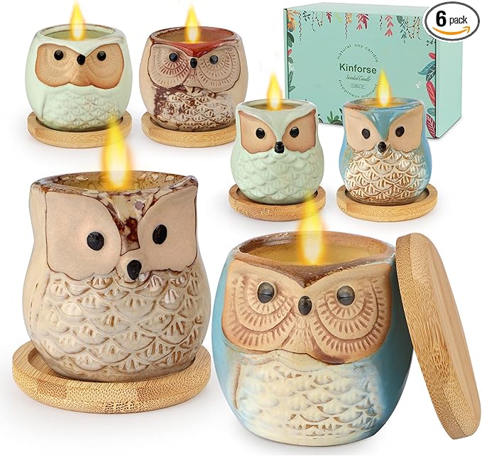 Citronella Candles Outdoor Gift Ideas for Women, 6x3.5oz Novelty Owl Soy Candles for Gift Sets Women, Aromatherapy Candles Bulk for Garden, Porch, Outdoor Patio Décor