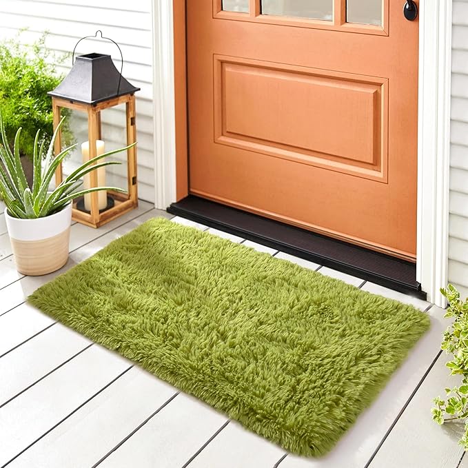Noahas Door Mat Indoor Entrance,2x3 Shaggy Small Green Area Rugs for Entryway,Non-Slip Fluffy Entry Bedroom Rug,Soft Plush Bedside Throw Kids Carpet