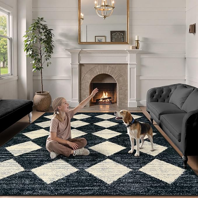 Lahome Zelie Moroccan Trellis Area Rug - 3x5 Washable Black Entry Rug Non Slip Living Room Mat, Distressed Lattice Soft Stain Resistance Indoor Throw Carpet for Front Door Foyer Bedroom Bathroom