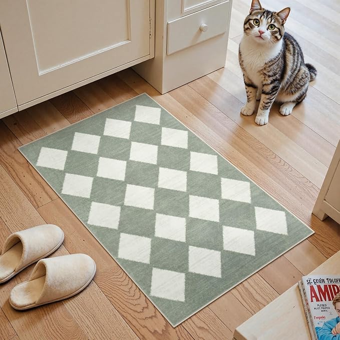 Lahome Zelie Checkered Washable 2x3 Green Kitchen Rugs Non Slip, Small Printed Indoor Door Mat for Entryway, Moroccan Trellis Ultra-Thin Throw Carpet for Bedroom Laundry Entrance Decor (2'x3',Green)