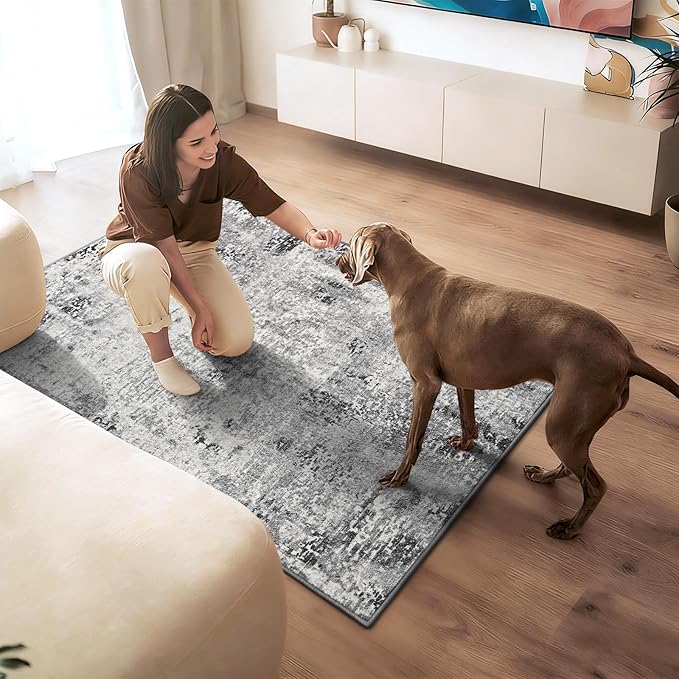 Entryway Rug 3x4 Grey Bedroom Area Rug Washable Non Slip Abstract Boho Rugs for Indoor Entry, Kitchen, Classroom, Bathroom, Kids Girls Room, Office, College Dorm Small Carpet