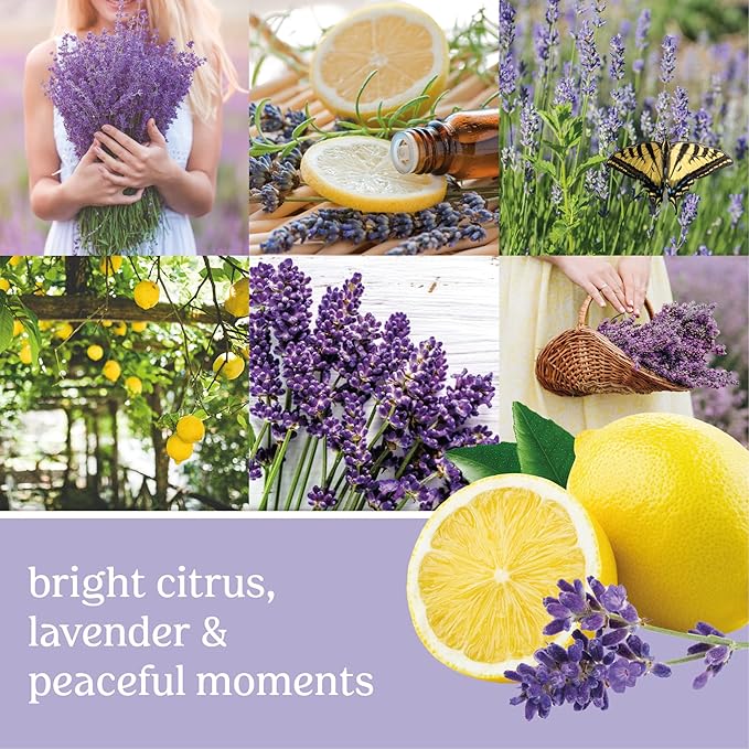 Yankee Candle Lemon Lavender Scented Signature 13oz Medium Jar 2-Wick Candle Over 35 Hours of Burn Time