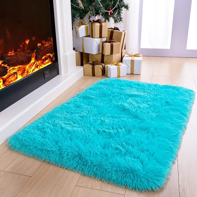 Noahas Door Mat Indoor Entrance,2x3 Shaggy Small Teal Blue Area Rugs for Entryway,Non-Slip Fluffy Entry Bedroom Rug,Soft Plush Bedside Throw Kids Carpet
