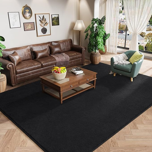 Amearea Modern Area Rugs for Bedroom Living Room, 4x6 Feet Black Thickened Memory Foam Rug, Fluffy Indoor Washable Rugs Non Slip Minimalist Carpet for Kids Boys Girls Dorm Nursery Room Decor