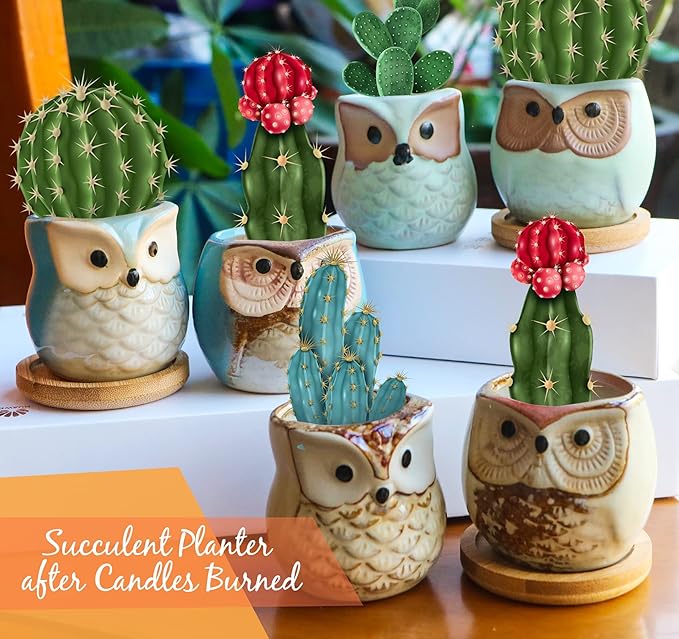Scented Candles Birthday Gifts for Women, Owl Gifts for Women, 6 Pack Novelty Owl Aromatherapy Candle Bulk Gift for Birthday Mother's Thanksgiving