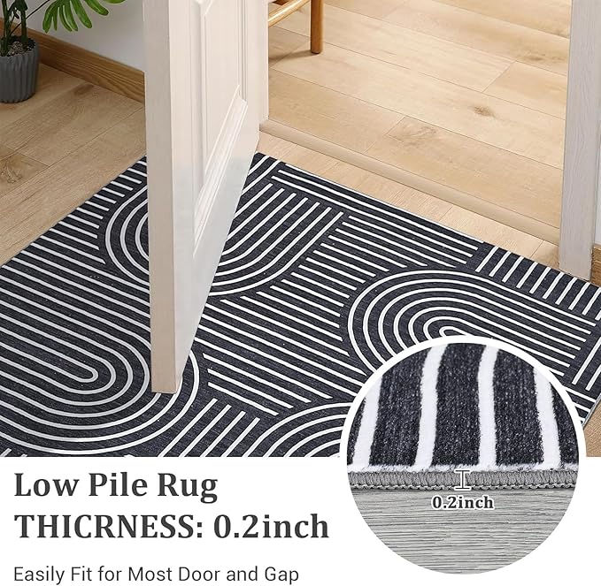 ROYHOME Modern Rug 2.5x8 Runners for Hallways, Abstract Kitchen Runner Rugs Non Slip Bath Runners, Rainbow Washable Runner Rug for Bedroom, Soft Long Rugs for Entryway Bathroom Laundry Dorm, Black