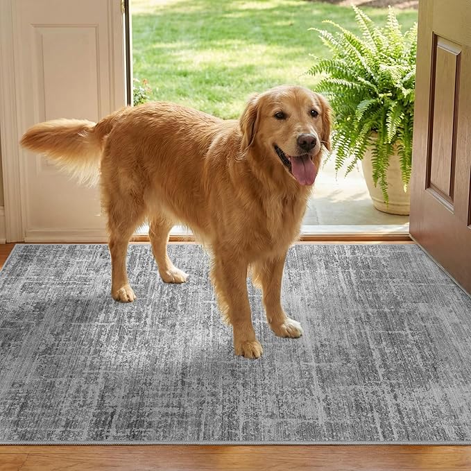 2x3 Washable Area Rug for Entryway - Small Abstract Neutral Kitchen Rug with Anti-Skid Rubber Backing Soft Low Pile Thin Carpet for Bedroom Bathroom Pet Feeding Zone (2x3, Gray)
