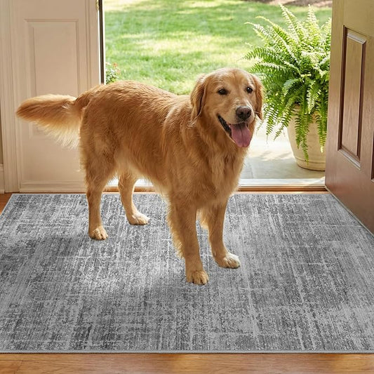 2x3 Washable Area Rug for Entryway - Small Abstract Neutral Kitchen Rug with Anti-Skid Rubber Backing Soft Low Pile Thin Carpet for Bedroom Bathroom Pet Feeding Zone (2x3, Gray)