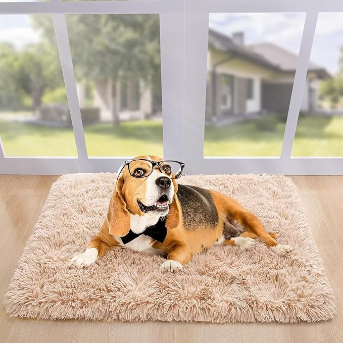 Noahas Beige Runner Rug for Hallway,2'x4' Long Area Rugs for Bedroom Living Room,Non Slip Thick Shag Floor Carpet for Entryway Kitchen Dorm Nursery Bedside Kids Room