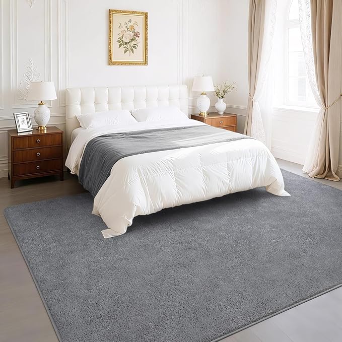 Soft Rugs for Living Room 4x6 Grey, Minimalist Area Rug for Bedroom Nursery Dining Table Dorm, Throw Rugs for Men Boys Girls Kids Room Indoor Floor Carpets