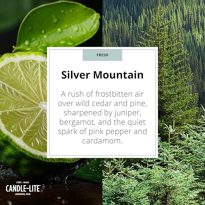 Candle-lite Rugged & Refined Scented Candle for Men, Silver Mountain, 9 oz Tin, Poured in The USA, Masculine Fragrance, 1-Wick, 58 Hours of Burn Time, Ideal Gift for Man in Your Life & Father's Day