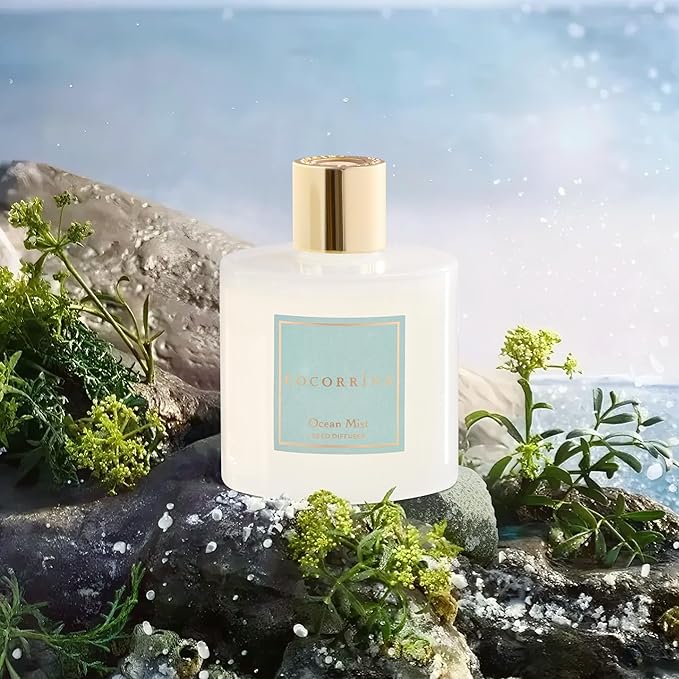 COCORR??NA Reed Diffuser - Ocean Mist 6.7 Fl.oz Reed Diffuser Set with Sticks & Preserved Baby's Breath, Reed Diffuser for Home Bathroom Shelf Decor
