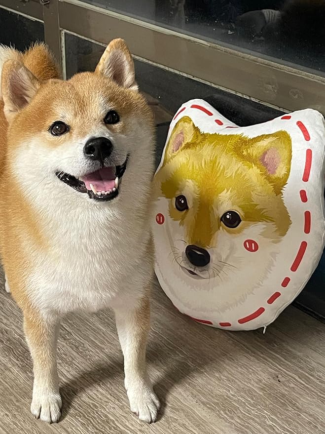 Custom Pet Portrait Pillows with Photos, Personalized Hand-Drawn 3D Dog Pillow, Custom Cat Face Pillow with Cute Design, Birthday Gift for Him or Her
