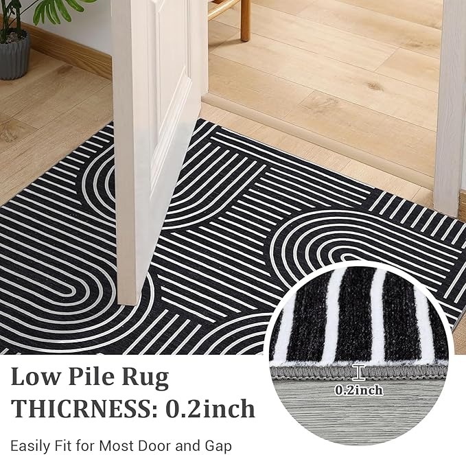 ROYHOME Washable Rug 4ft Area Rugs for Living Room, Abstract Rug for Bedroom, Soft Rainbow Non Slip Throw Rugs with Rubber Back, Low Pile Stain Resistant Boho Geometric Carpet for Dining Room,Black