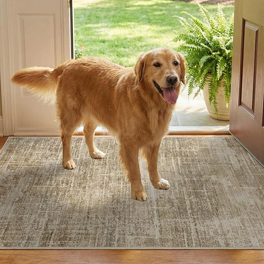 2x3 Washable Area Rug for Entryway - Small Abstract Neutral Kitchen Runner Rug with Anti-Skid Rubber Backing Soft Low Pile Thin Carpet for Bedroom Bathroom Pet Feeding Zone (2x3, Tan/Brown)