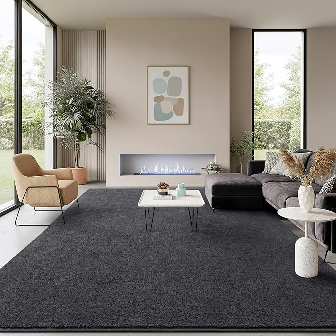 Soft Rugs for Living Room 6x9 Dark Grey, Minimalist Area Rug for Bedroom Nursery Dining Table Dorm, Large Throw Rugs for Men Boys Girls Kids Room Indoor Floor Carpets