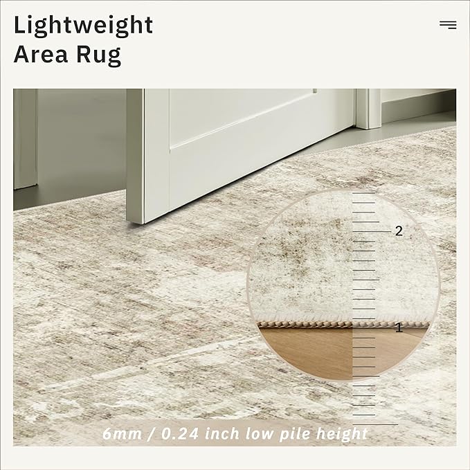 Soalmost 3x5 Rug, Small Area Rug for Kitchen, Entryway, Machine Washable Non-Slip Throw Rug, Vintage Carpet for Nursery Coffee Table Beige/Gray