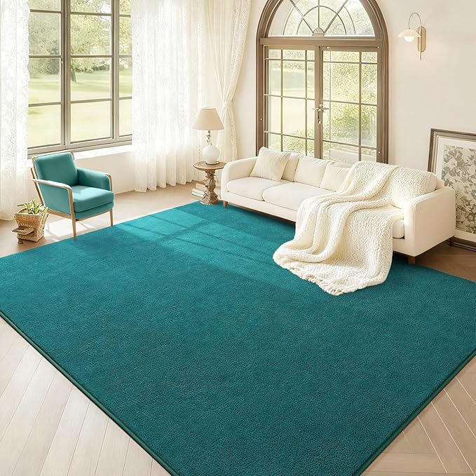Soft Rugs for Living Room 6x9 Teal Green, Minimalist Area Rug for Bedroom Nursery Dining Table Dorm, Large Throw Rugs for Men Boys Girls Kids Room Indoor Floor Carpets