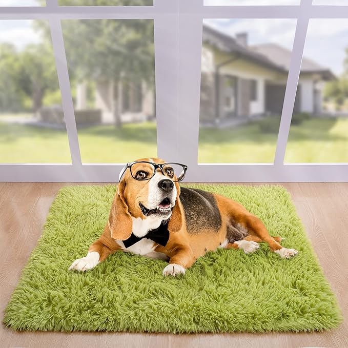 Noahas Door Mat Indoor Entrance,2x3 Shaggy Small Green Area Rugs for Entryway,Non-Slip Fluffy Entry Bedroom Rug,Soft Plush Bedside Throw Kids Carpet